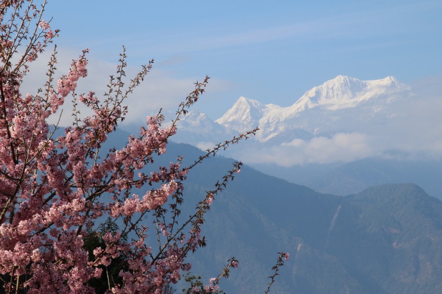vue de Pelling, Sikkim, Kanchenjunga