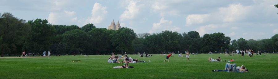 New York, Central Park, the great lawn