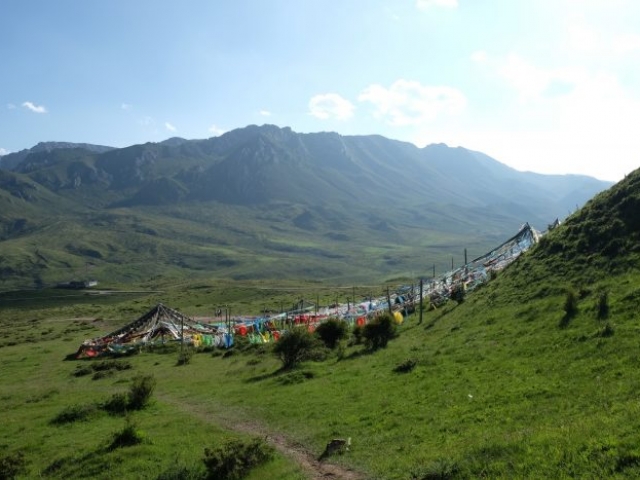 Taksang Lhamo